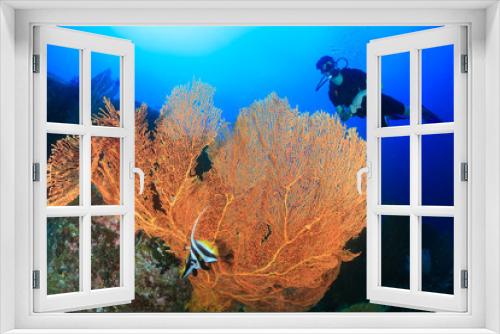 Fototapeta Naklejka Na Ścianę Okno 3D - SCUBA Divers next to a huge, delicate but beautiful seafan on a tropical coral reef