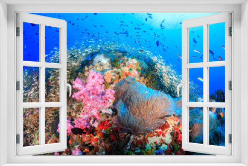 Fototapeta Naklejka Na Ścianę Okno 3D - Beautiful, colorful and healthy tropical coral reef system full of fish and life