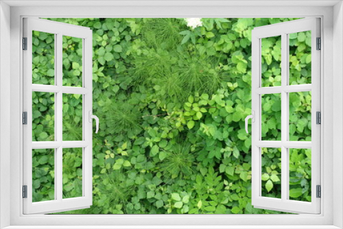 Fototapeta Naklejka Na Ścianę Okno 3D - Blätterteppich