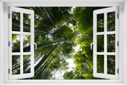 Fototapeta Naklejka Na Ścianę Okno 3D - bamboo forest japan
