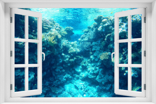 Fototapeta Naklejka Na Ścianę Okno 3D - Coral reefs under water