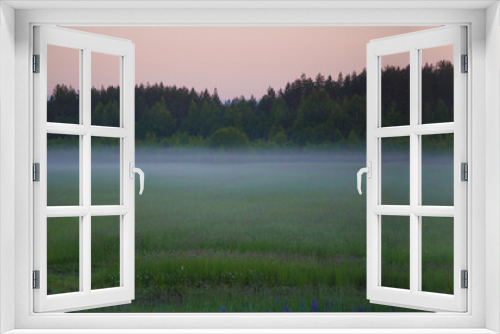 Fototapeta Naklejka Na Ścianę Okno 3D - Panorama of meadows with fog in a rural place.