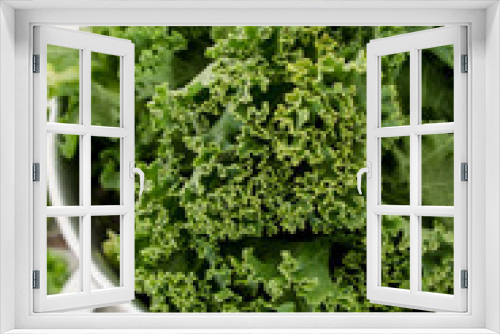 Fototapeta Naklejka Na Ścianę Okno 3D - preparing fresh kale leaves