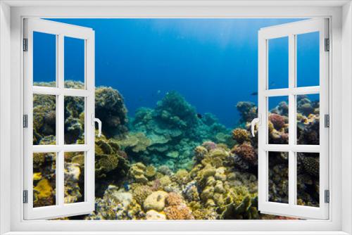 Fototapeta Naklejka Na Ścianę Okno 3D - Beautiful coral reef and tropical fish underwater, marine life.