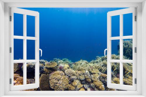 Fototapeta Naklejka Na Ścianę Okno 3D - Coral reef with branching coral and colorful tropical fish swimming underwater in a natural marine ecosystem attracting eco-tourism and divers.