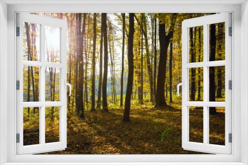 Fototapeta Naklejka Na Ścianę Okno 3D - Golden autumnal forest with sunbeams