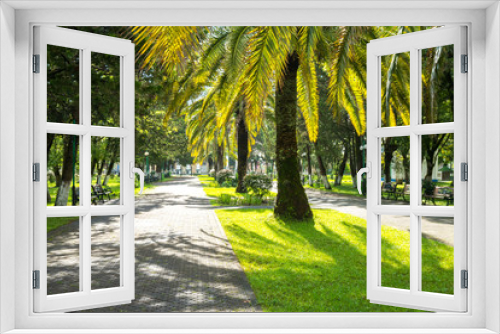 Fototapeta Naklejka Na Ścianę Okno 3D - Walkway in a beautiful Park with Palms, Poti, Georgia