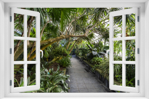 Fototapeta Naklejka Na Ścianę Okno 3D - Beautiful garden in a greenhouse