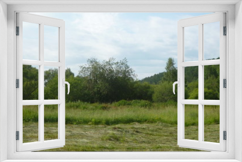 Fototapeta Naklejka Na Ścianę Okno 3D - View of a green field with half mown grass and a forest covering a small mountain