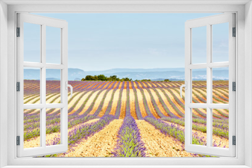 Fototapeta Naklejka Na Ścianę Okno 3D - Lavender field. The plateau of Valensole in Provence