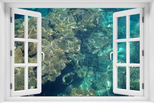 Fototapeta Naklejka Na Ścianę Okno 3D - Water surface above coral