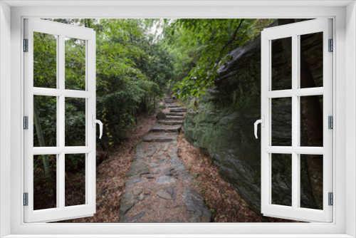 Fototapeta Naklejka Na Ścianę Okno 3D - Forest Scenery, forest trail in Mount Lu, Lushan in Jiujiang City, Jiangxi Province China. Dense forest with heavy mist and fog in the background, Lushan UNESCO Global Geopark, World Heritage site.
