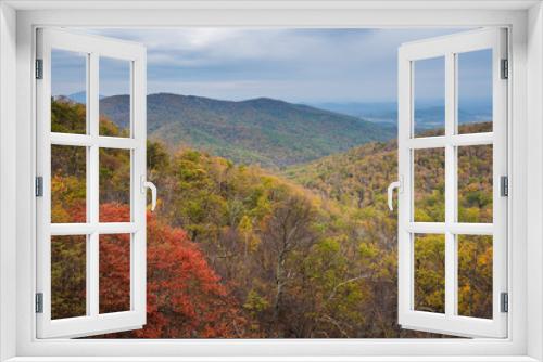Fototapeta Naklejka Na Ścianę Okno 3D - Fall color and Blue Ridge Mountains view from Skyline Drive in Shenandoah National Park, Virginia