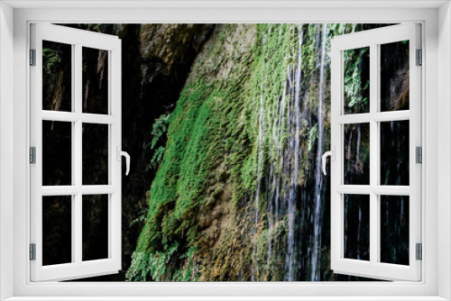 Fototapeta Naklejka Na Ścianę Okno 3D - fern and lichen