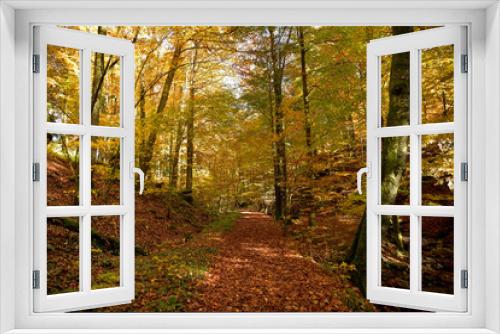 Fototapeta Naklejka Na Ścianę Okno 3D - Durch einen idyllischen Herbstwald