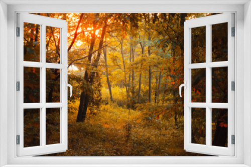 Fototapeta Naklejka Na Ścianę Okno 3D - Enchanted light in the forest. Magical landscape