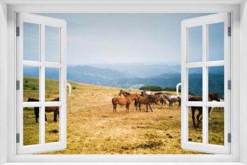 Fototapeta Naklejka Na Ścianę Okno 3D - Cavalli al pascol in alta montagna