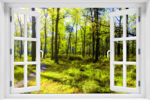 Fototapeta Naklejka Na Ścianę Okno 3D - Forest in spring with a bright sun shining through the branches of trees