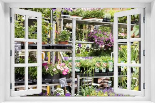 Fototapeta Naklejka Na Ścianę Okno 3D - Flower business. A lot of flowers and plants are on shelves in a garden center. English style. Gardening is a popular hobby in England.