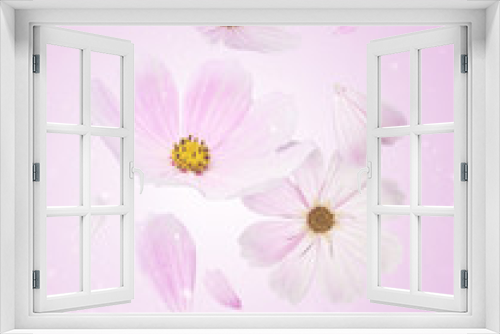 Fototapeta Naklejka Na Ścianę Okno 3D - Beautiful flying pastel pink flowers