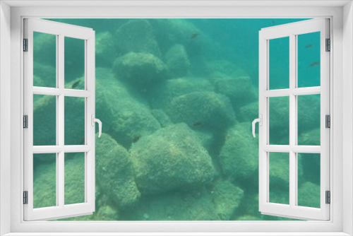 Fototapeta Naklejka Na Ścianę Okno 3D - fishswarm