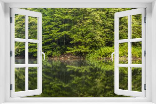Fototapeta Naklejka Na Ścianę Okno 3D - reflection of forest on the surface of calm lake