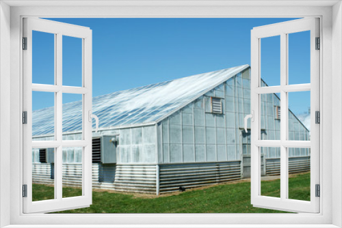 Fototapeta Naklejka Na Ścianę Okno 3D - A green house with blue sky