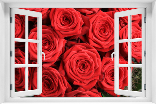 Fototapeta Naklejka Na Ścianę Okno 3D - Rote Rosen
