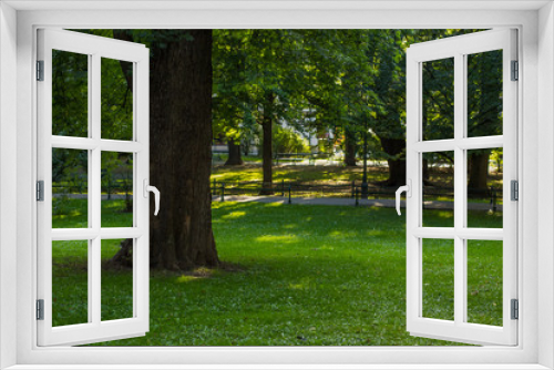 Fototapeta Naklejka Na Ścianę Okno 3D - park outdoor nature environment space for walking with empty small road and bench