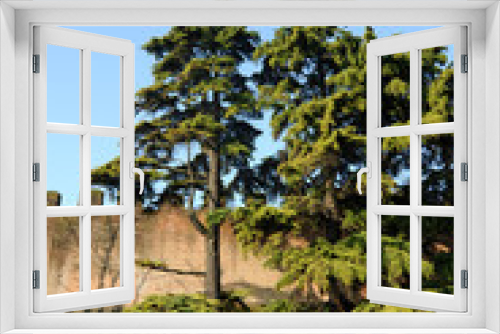 Fototapeta Naklejka Na Ścianę Okno 3D - Castelfranco veneto 23
