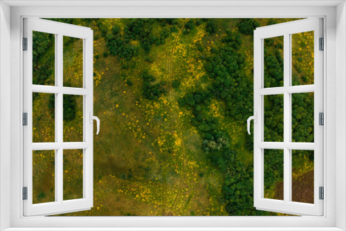Fototapeta Naklejka Na Ścianę Okno 3D - New road nature through swamp impenetrable forest, top aerial view dron