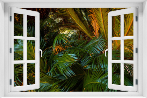 Fototapeta Naklejka Na Ścianę Okno 3D - Beautiful green palm tree leaves. Texture background