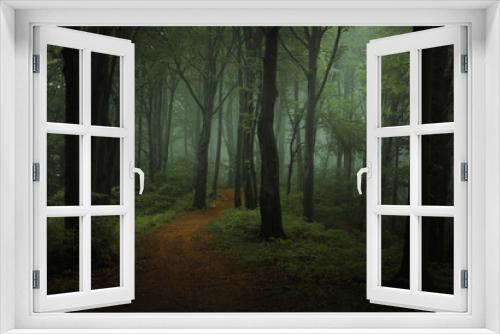 Fototapeta Naklejka Na Ścianę Okno 3D - Dreamy foggy dark forest. Trail in moody forest. Alone and creepy feeling in the woods