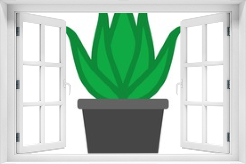 Fototapeta Naklejka Na Ścianę Okno 3D - Green aloe vera plant with leaves