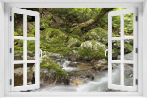 Fototapeta Naklejka Na Ścianę Okno 3D - 緑の森の中の飯干川の流れ