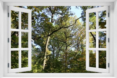 Fototapeta Naklejka Na Ścianę Okno 3D - Nature
