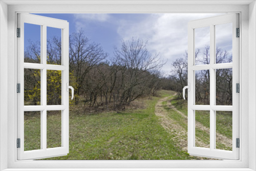 Fototapeta Naklejka Na Ścianę Okno 3D - A dirt road in the mountains. Crimea.