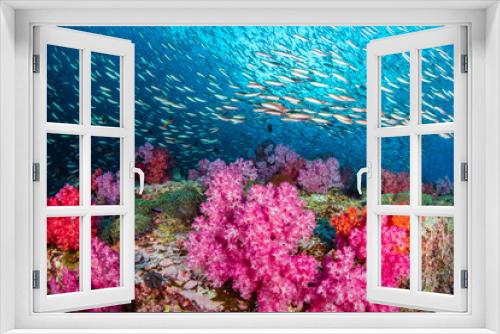 Fototapeta Naklejka Na Ścianę Okno 3D - Huge numbers of colorful tropical fish swimming around a beautiful coral reef