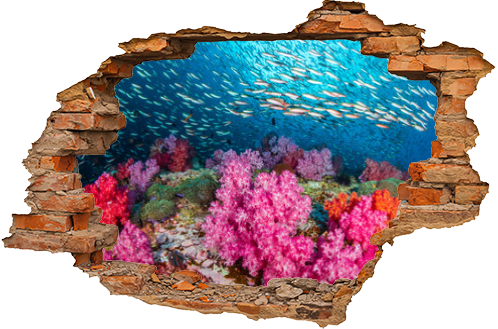 Huge numbers of colorful tropical fish swimming around a beautiful coral reef