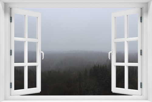 Fototapeta Naklejka Na Ścianę Okno 3D - foggy forest in winter in estonia
