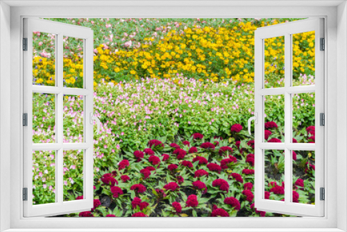Fototapeta Naklejka Na Ścianę Okno 3D - Colorful flowers .