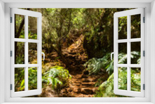 Fototapeta Naklejka Na Ścianę Okno 3D - Bosque de Los Tilos, La Palma
