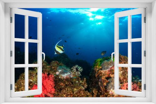 Fototapeta Naklejka Na Ścianę Okno 3D - Colorful tropical fish swimming around a vibrant tropical coral reef system in Asia