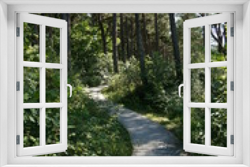Fototapeta Naklejka Na Ścianę Okno 3D - path, forest, summer