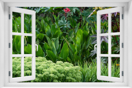 Fototapeta Naklejka Na Ścianę Okno 3D - green juicy leaves of tropical plants