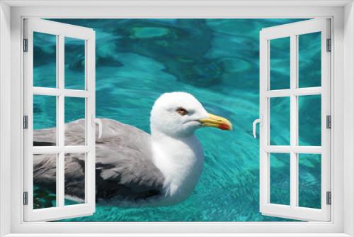 Fototapeta Naklejka Na Ścianę Okno 3D - Möve , Gull