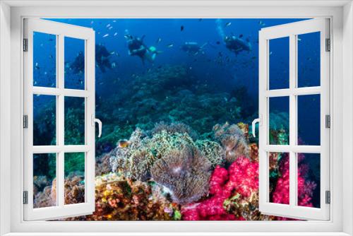 Fototapeta Naklejka Na Ścianę Okno 3D - SCUBA divers swimming past colorful tropical fish on a warm water coral reef