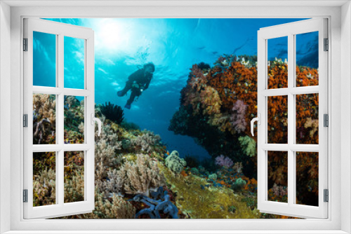 Fototapeta Naklejka Na Ścianę Okno 3D - woman diver underwater over a colorful tropical reef with sea fan, coral and sponge in Rajat Ampat, Indonesia