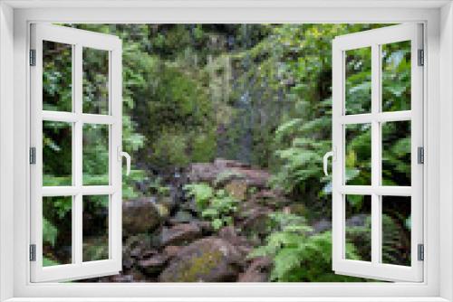 Fototapeta Naklejka Na Ścianę Okno 3D - In the Jungle forest on Madeira Island