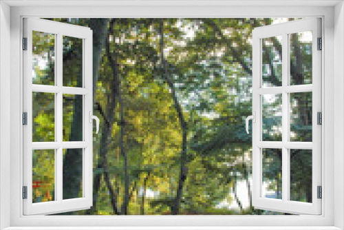 Fototapeta Naklejka Na Ścianę Okno 3D - Jardin tropical Monte Palace
